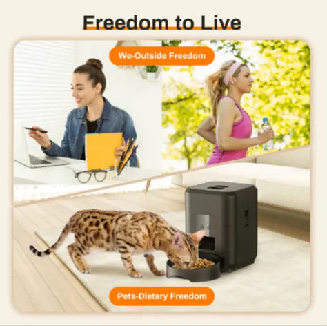 User-friendly smartphone app interface for the Automatic Smart Pet Feeder With WiFi Control, allowing custom meal times.
