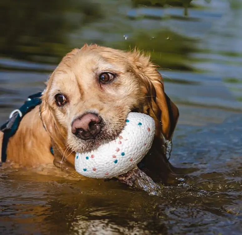 Fun Fetch Toy in colorful macaron shades, designed for dogs to enjoy active play and dental health.