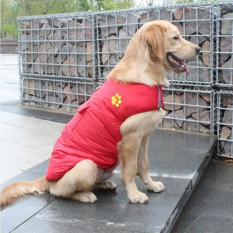 Cozy Winter Cotton Coat for Dogs in a striking Red color, ensuring warmth and comfort during chilly days.