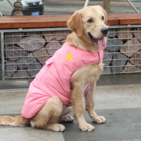 Cozy Winter Cotton Coat for Dogs in vibrant Blue color, perfect for keeping your pet warm and stylish this winter.
